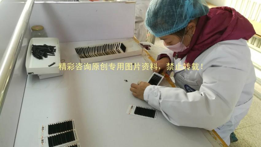 青岛xx眼睫毛工厂通过miniso质量验厂